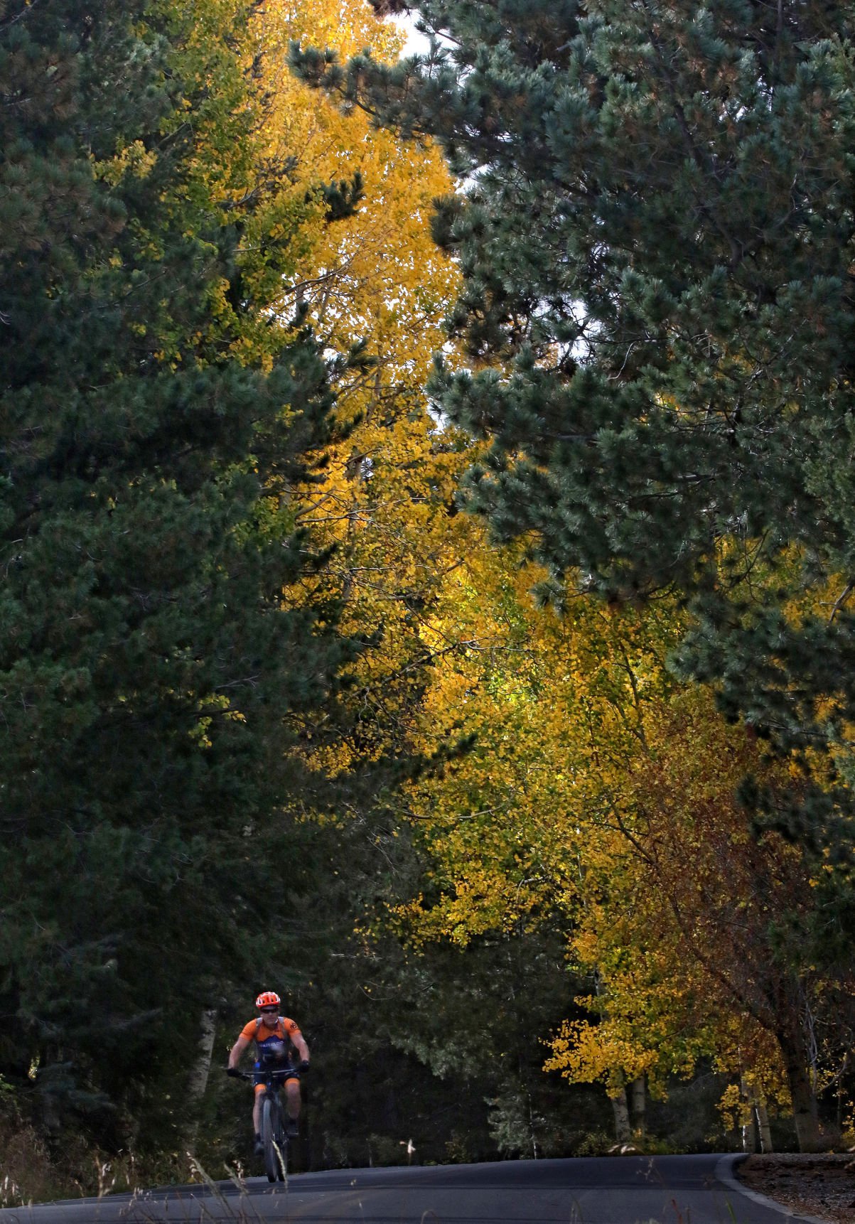 Fall colors